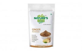Nature's Gift Ginger Powder   Pack  250 grams